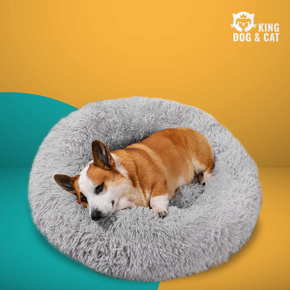 Cama Relax Zen