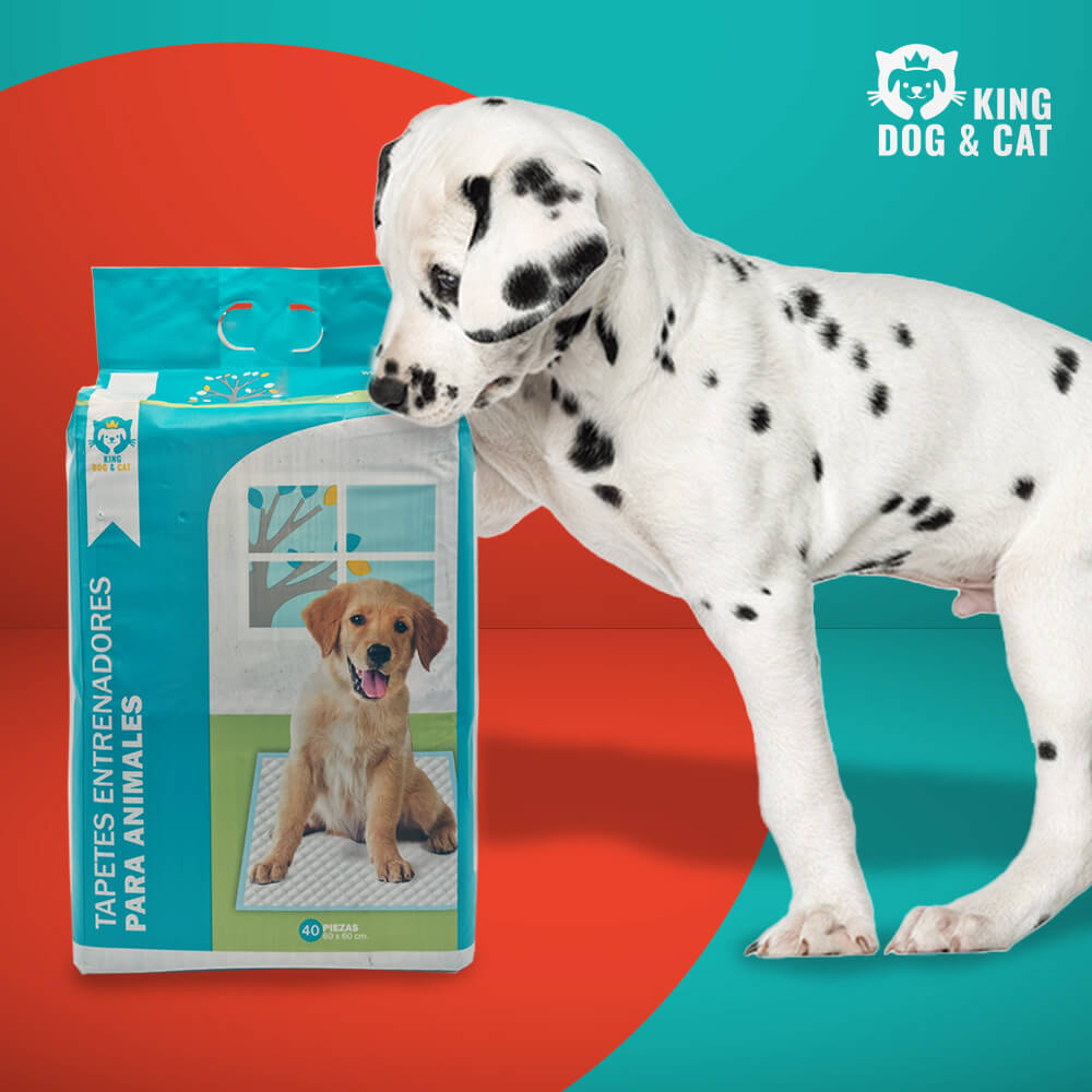CleanPet - Tapetes Absorbentes