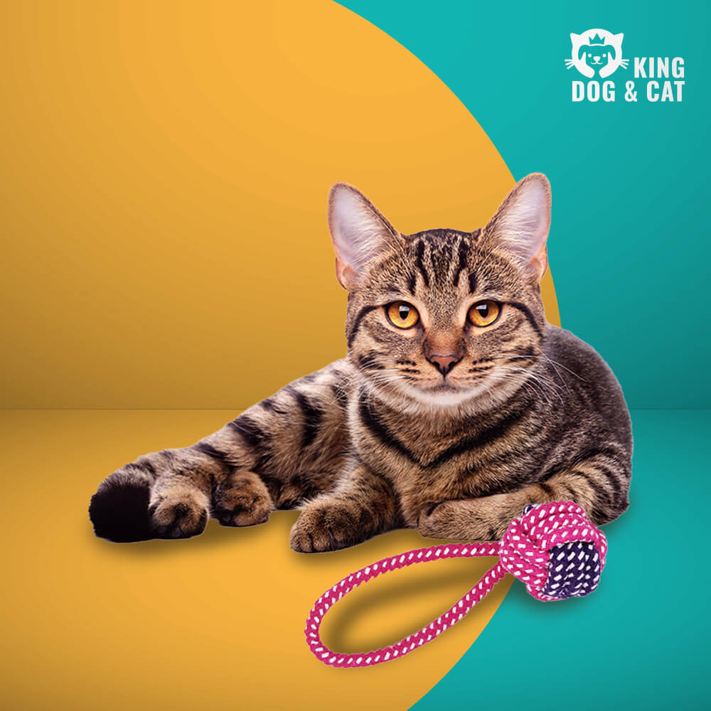 Pack 3 Mordederas Trenzadas